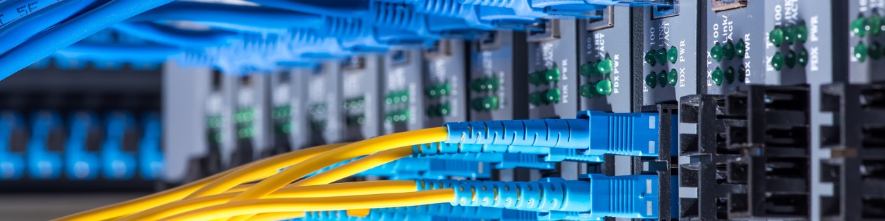 Fieberkabel angeschlossen an einen PC