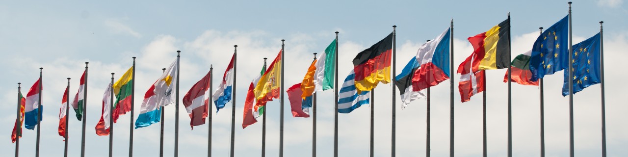 Alle Fahnen der EU wehen im Wind