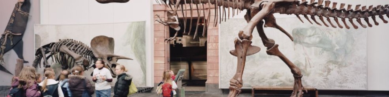 Children in the Senckenberg Museum in front of a dinosaur skeleton