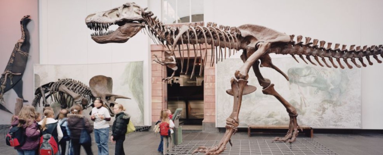 Kinder im Senckenberg-Museum vor einem Dinosaurier-Skelett