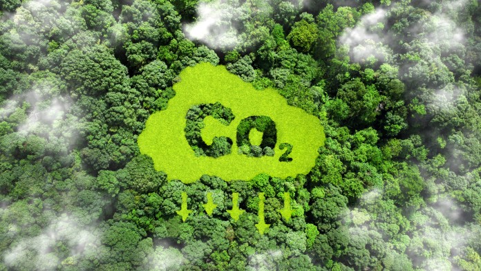 CO2-Sign in a forrest