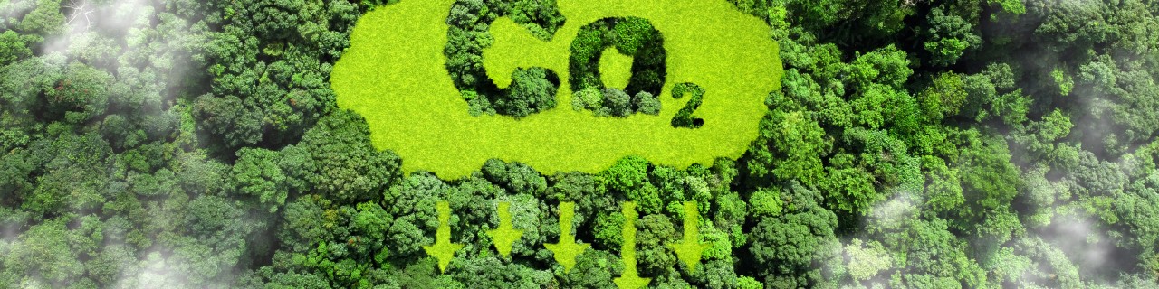 CO2 Zeichen im Wald