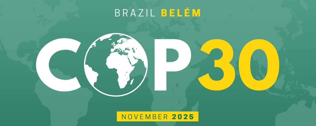 Logo of COP30