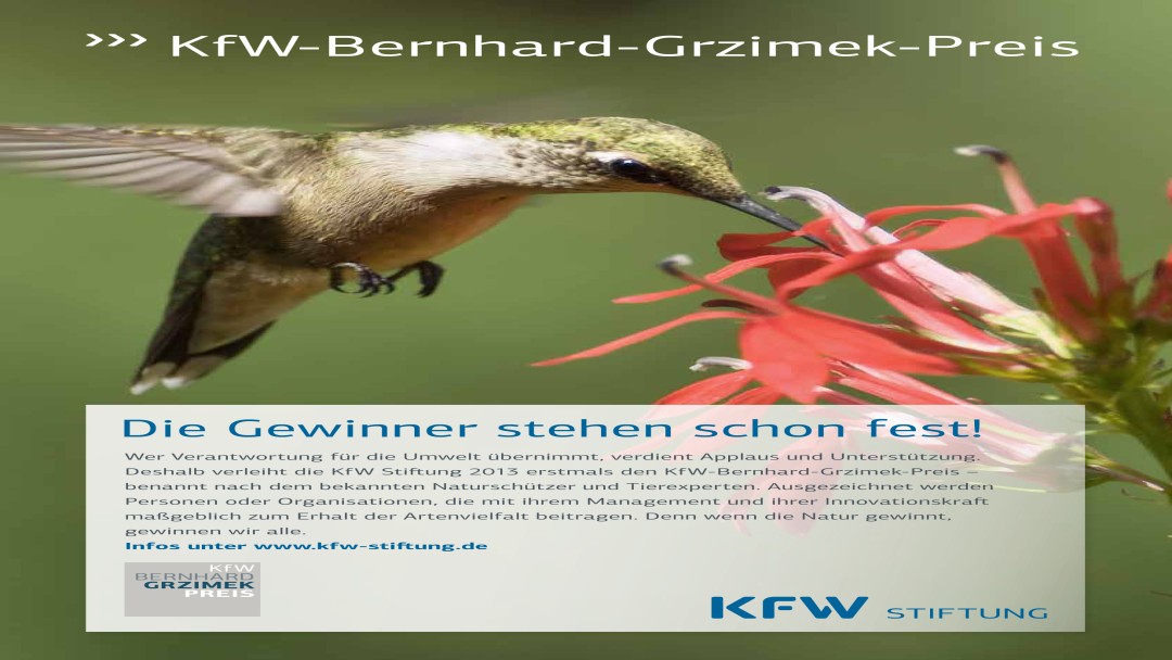 Anzeige KfW-Bernhard-Grzimek-Preis