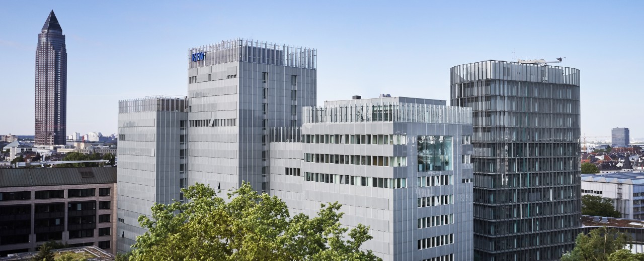 Drone image of the KfW building in Frankfurt. In the foreground, treetops from the Palmengarten, in the centre the KfW Main Building and IPEX, on the left in the background the Messeturm.