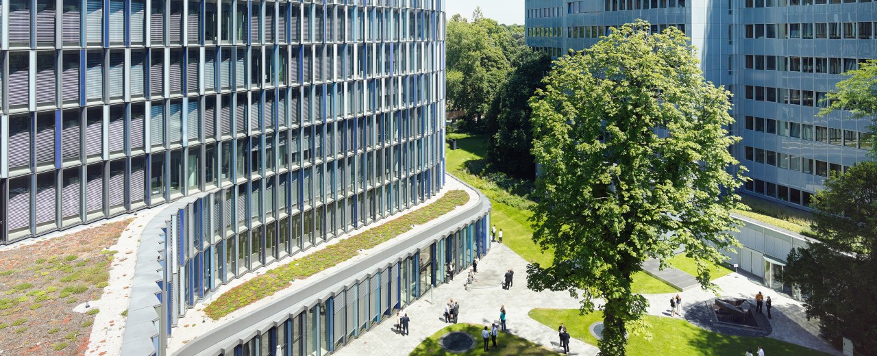 View on KfW Buildings, several scyscrapers with glas fronts, Courtyard with trees