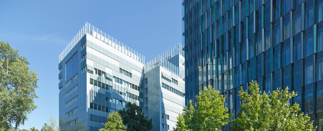 Blick auf die Grünanlagen hinter dem HAupthaus un dem IPEX Hochhaus der KfW Niederlassung Frankfurt im Juli 2014