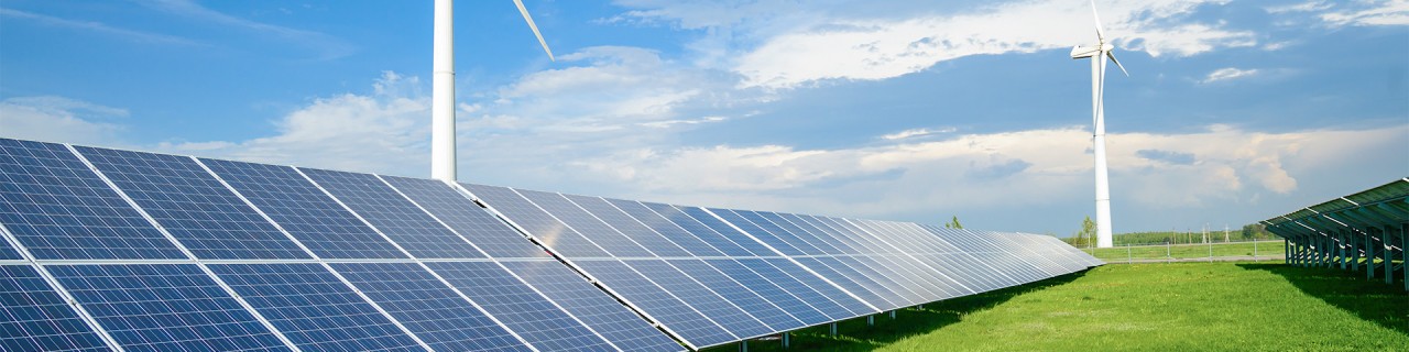Solarenergie-Paneele auf einem Feld, dahinter 2 Windmühlen bei blauem Himmel