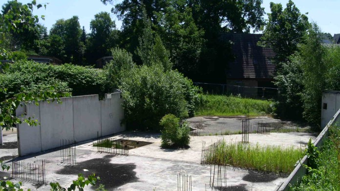Blick auf eine asphaltierte Fläche im Grünen