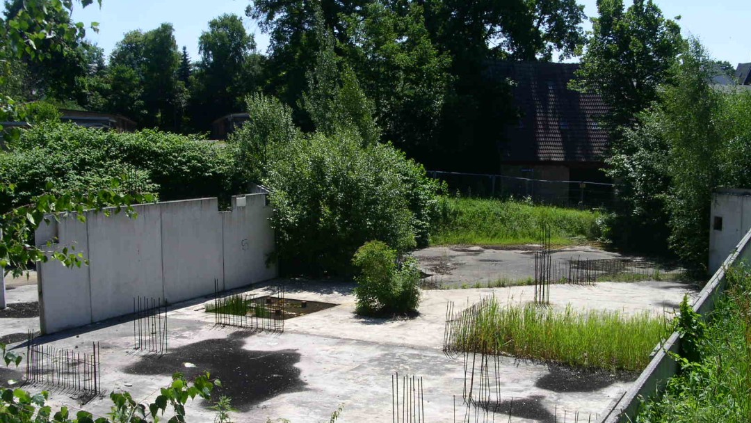 Blick auf eine asphaltierte Fläche im Grünen