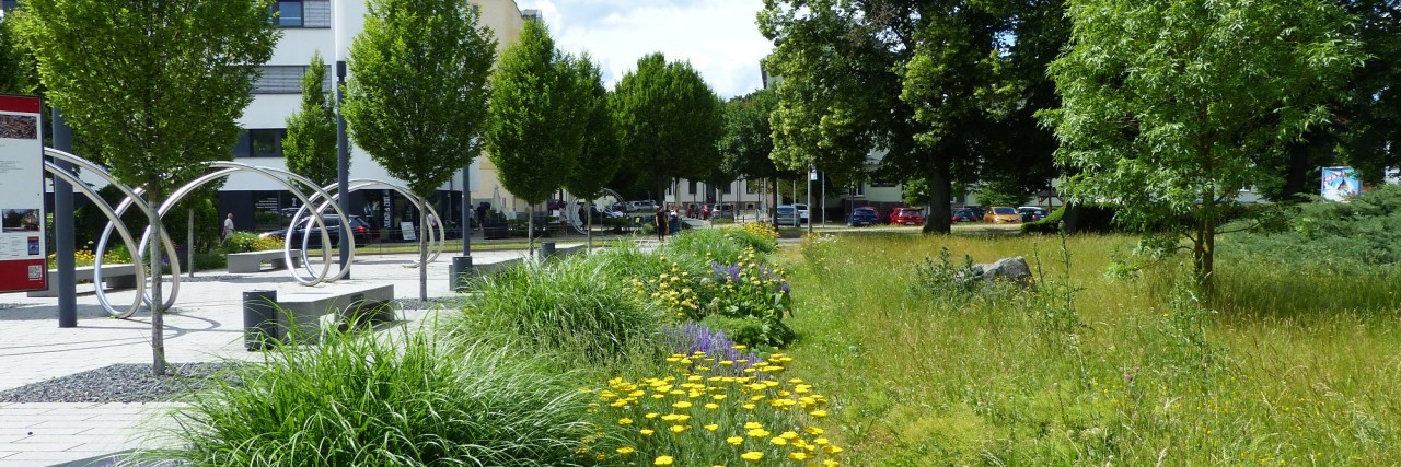 Städtischer Platz neben einem Park mit blühenden Pflanzen und Bäumen