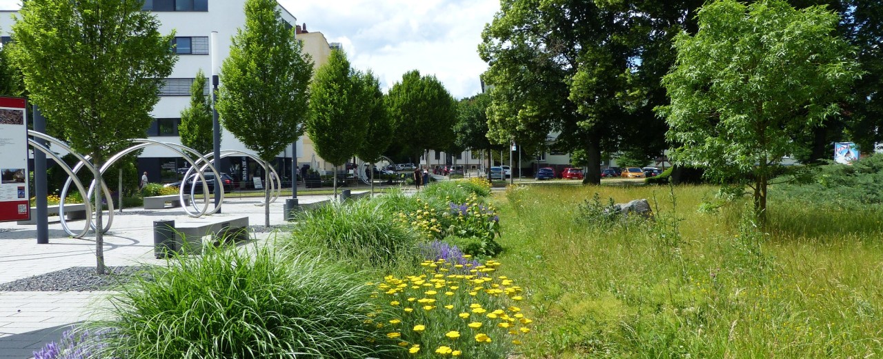Städtischer Platz neben einem Park mit blühenden Pflanzen und Bäumen