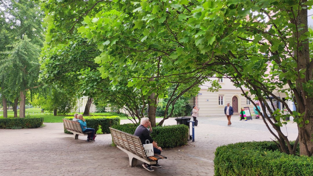 Parkanlage mit städtischen Bäumen und Menschen auf Parkbänken