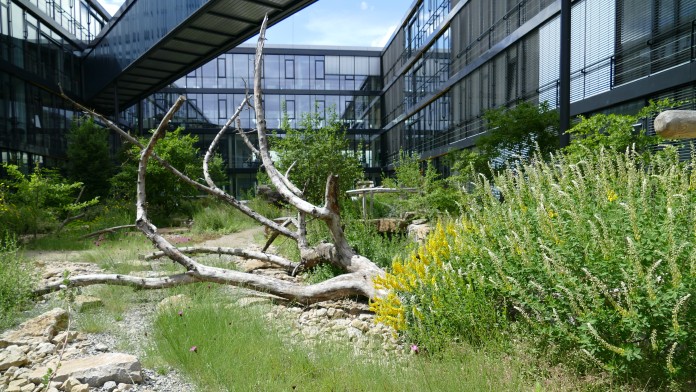 Begrünter Innenhof des Hauptsitzes von Kärcher
