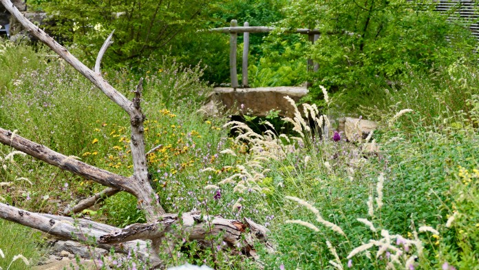 Naturnahe Wiese im Innenhof von Kärcher