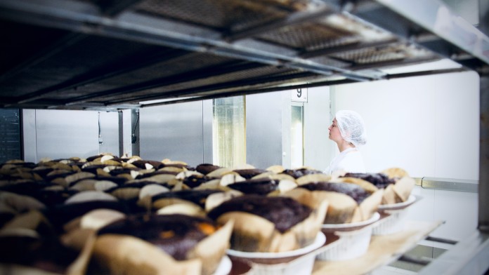 Schokoladenmuffins auf einem Blech
