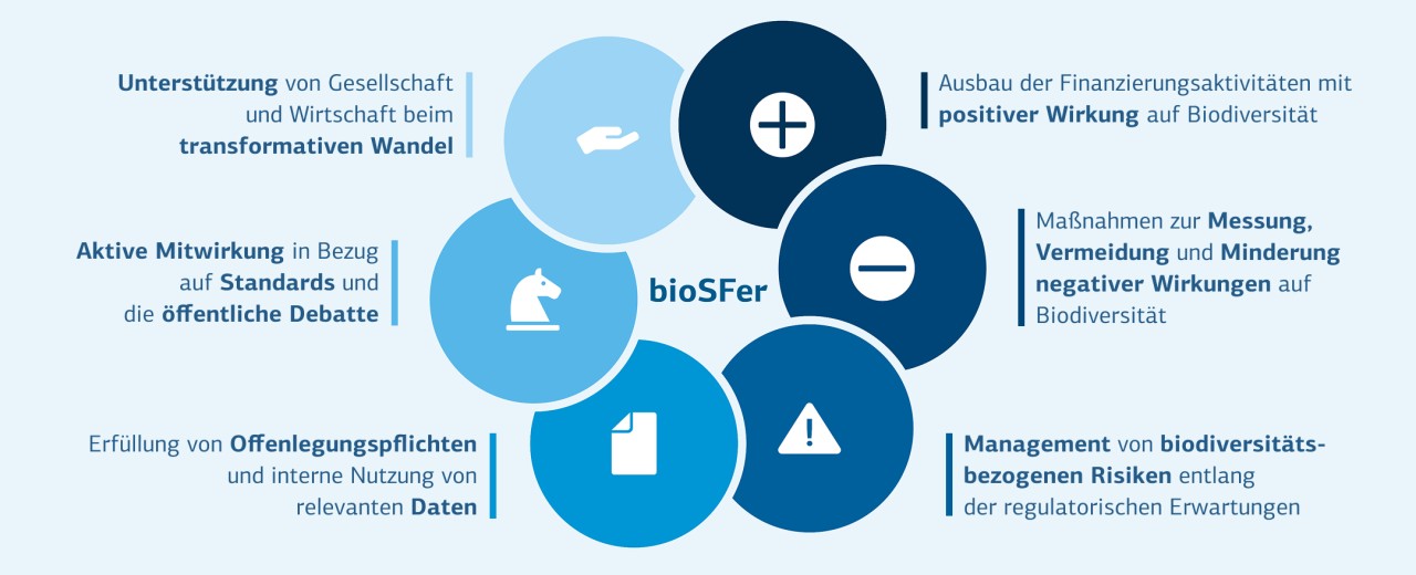 Die Grafik zeigt die sechs Dimensionen von bioSFer, in Form von Kreisen zu einer Strategieblume zusammengefügt.