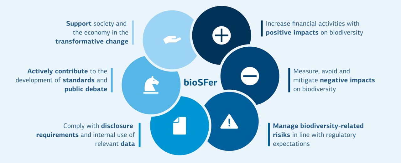 The graphic shows the six dimensions of bioSFer, combined as circles to form a strategy flower.