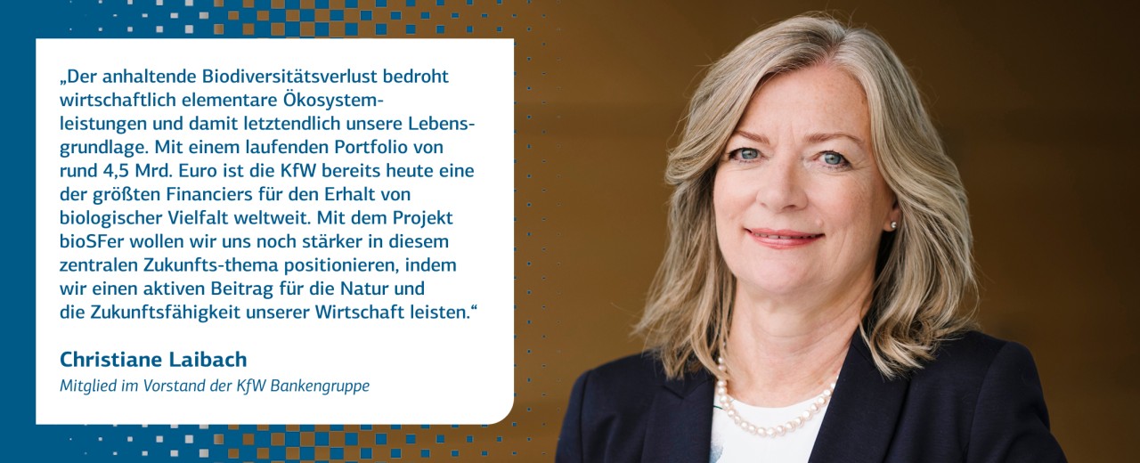„Der anhaltende Biodiversitätsverlust bedroht wirtschaftlich elementare Ökosystemleistungen und damit letztendlich unsere Lebensgrundlage. Mit einem laufenden Portfolio von rund 4,5 Mrd. Euro ist die KfW bereits heute eine der größten Financiers für den Erhalt von biologischer Vielfalt weltweit. Mit dem Projekt bioSFer wollen wir uns noch stärker in diesem zentralen Zukunftsthema positionieren, indem wir einen aktiven Beitrag für die Natur und die Zukunftsfähigkeit unserer Wirtschaft leisten.“ Christiane Laibach, Mitglied im Vorstand der KfW Bankengruppe 
