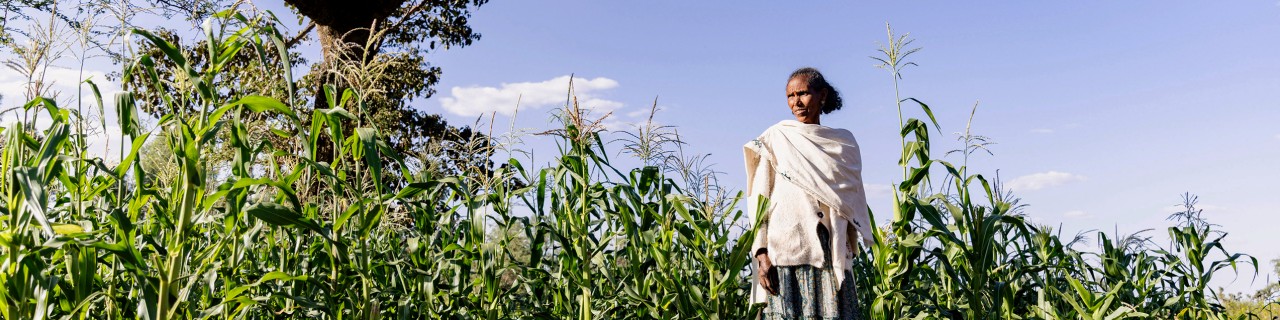 A woman ist standing an a corn field
