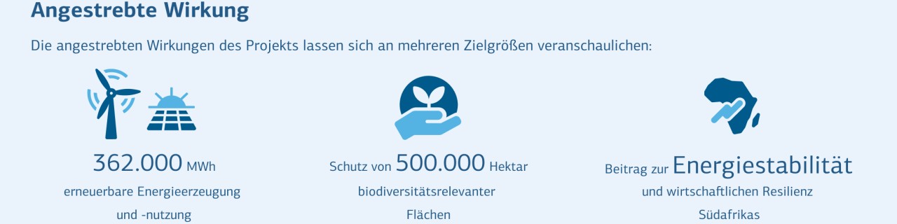 Die angestrebten Wirkungen des Projekts an mehreren Zielgrößen veranschaulicht