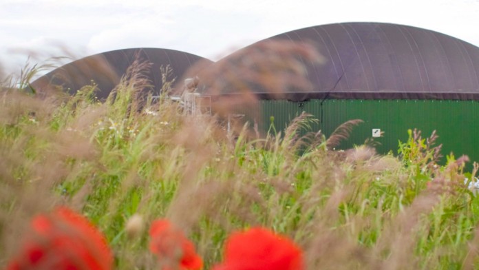 Speicher einer Biogasanlage