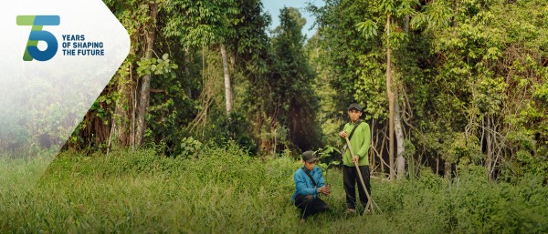 Two men in the jungle planting a tree
