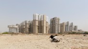 Cow in front of skyscrapers