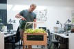 Ackerdemia is growing vegetables together with school children