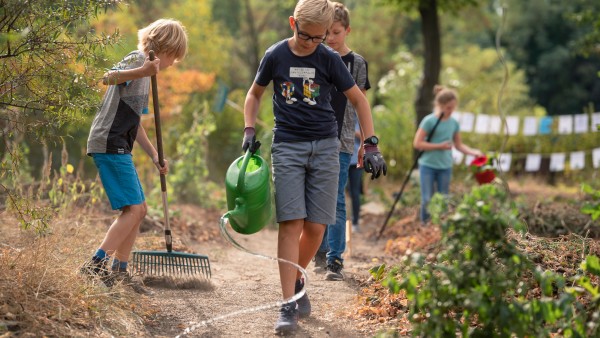 Ackerdemia is growing vegetables together with school children