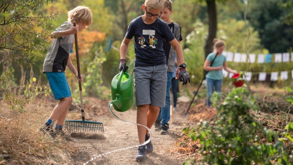 Ackerdemia legt mit Schulkindern Gemüsebeete an