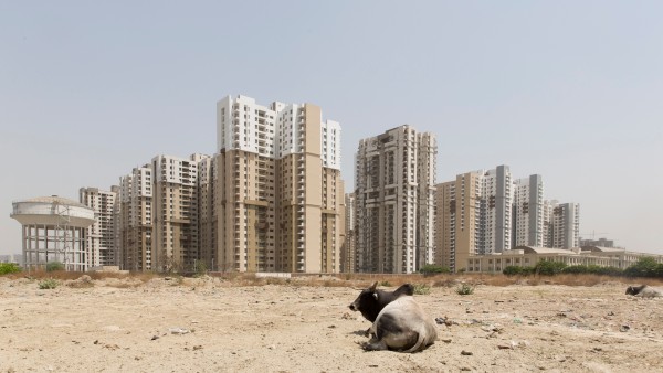 Kuh vor Megastadt in Indien