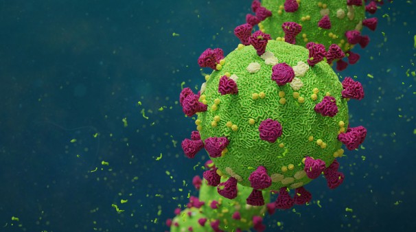 Grafische Darstellung des Corona-Virus
