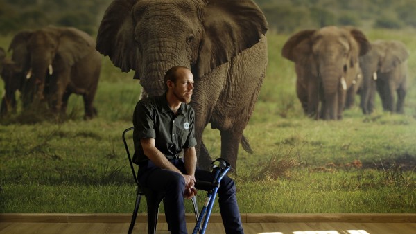 Ranger with elephant