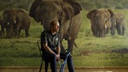 Ranger with elephant