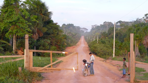 Fence and gate mark the borders of the protected area.