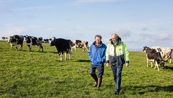 Molkereiwerk TINE SA, Irland