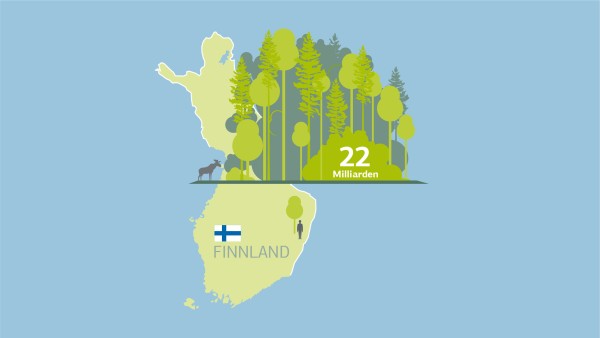 Finland Walddichte