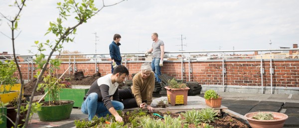 Dachterrasse des Sharehaus Refugio iin Berlin 