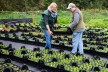 Irmela Harz und Klaus Wilbert vom Schlockerhof