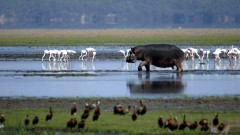 iSimangaliso Wetland Park