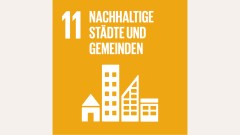 SDG 11
