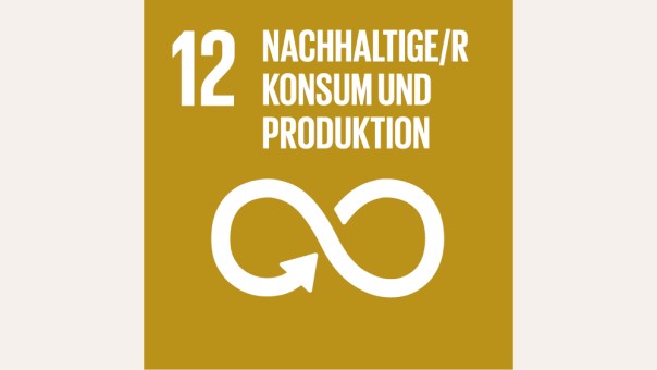 SDG 12