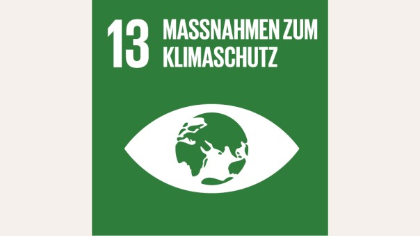 SDG 13