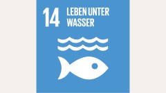 SDG 14