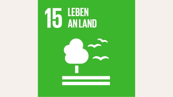 SDG 15