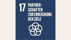 SDG 17