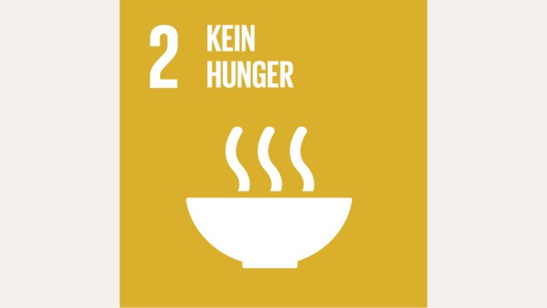 SDG 2