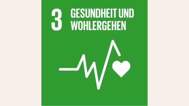 SDG 3