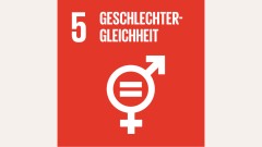 SDG 5